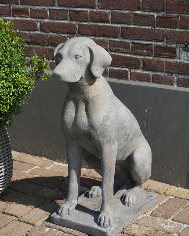 Il Cupido Betonnen Hond Beeld Op Voet H75 Cm