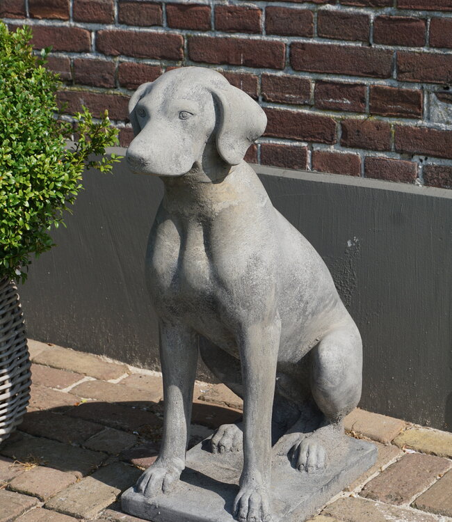 Il Cupido Betonnen Hond Beeld Op Voet H75 Cm