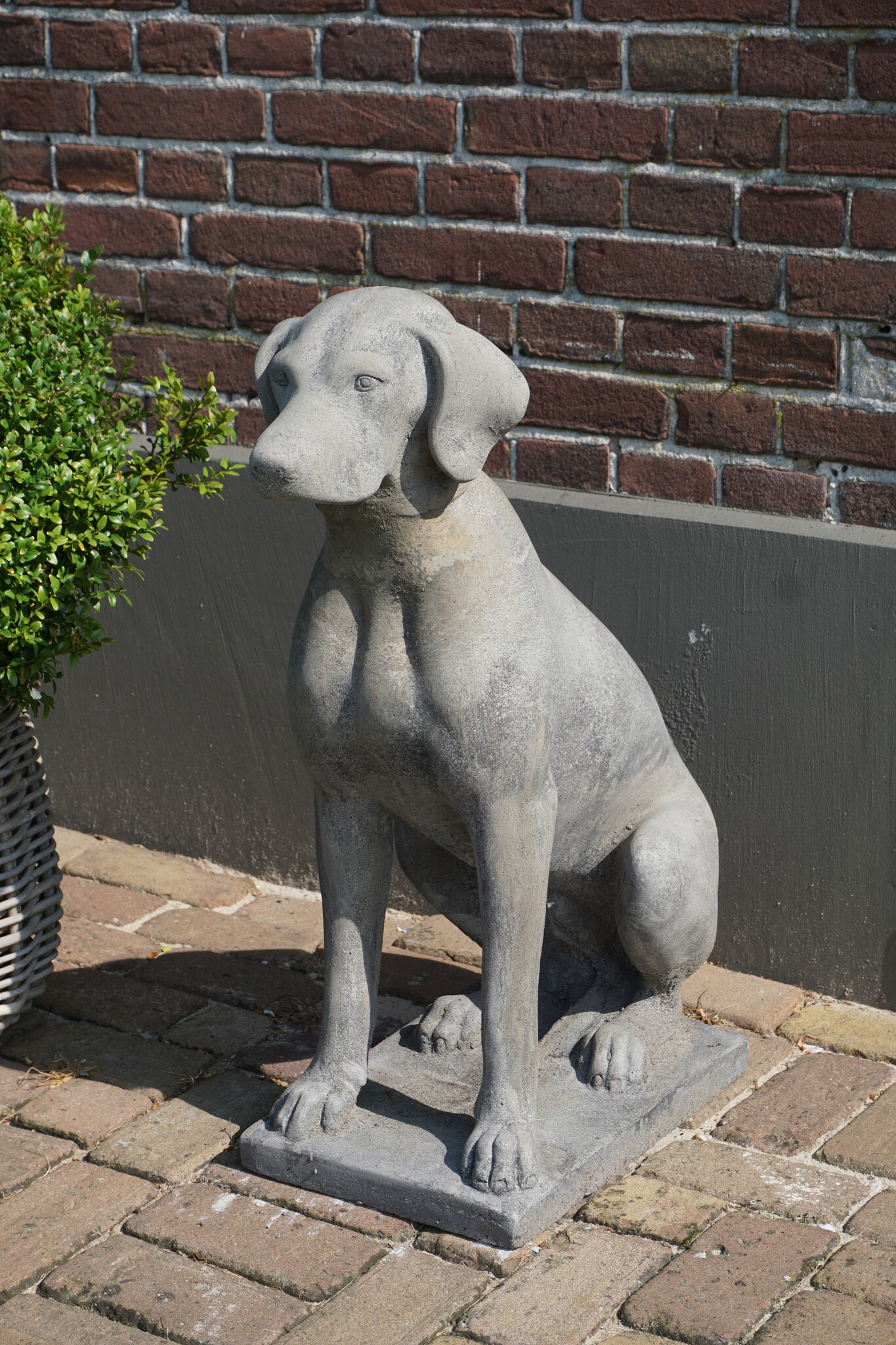 Il Cupido Betonnen Hond Beeld Op Voet H75 Cm