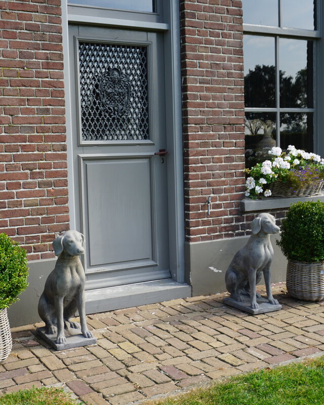 Il Cupido Betonnen Hond Beeld Op Voet H75 Cm