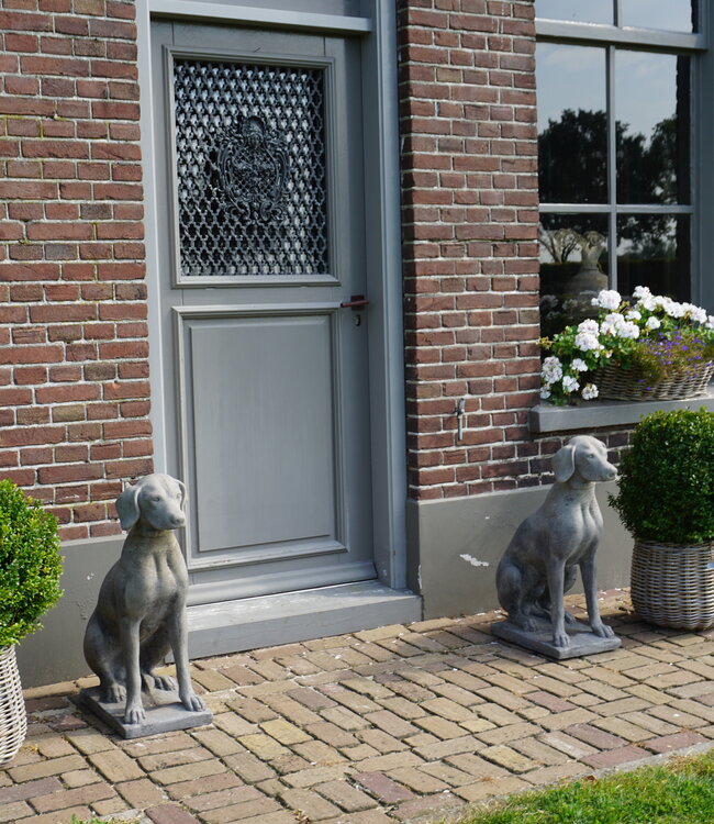 Il Cupido Betonnen Hond Beeld Op Voet H75 Cm