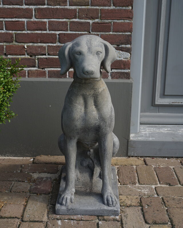 Il Cupido Betonnen Hond Beeld Op Voet H75 Cm