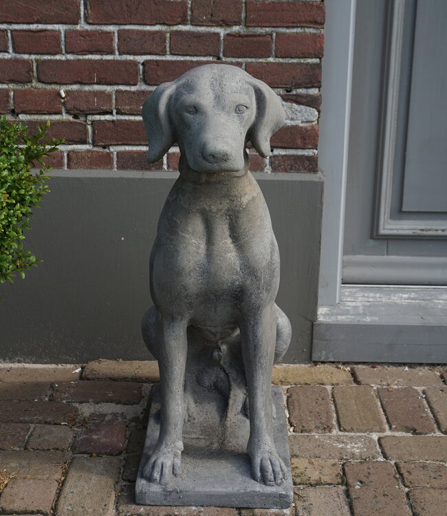 Il Cupido Betonnen Hond Beeld Op Voet H75 Cm