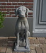 Il Cupido Betonnen Hond Beeld Op Voet H75 Cm