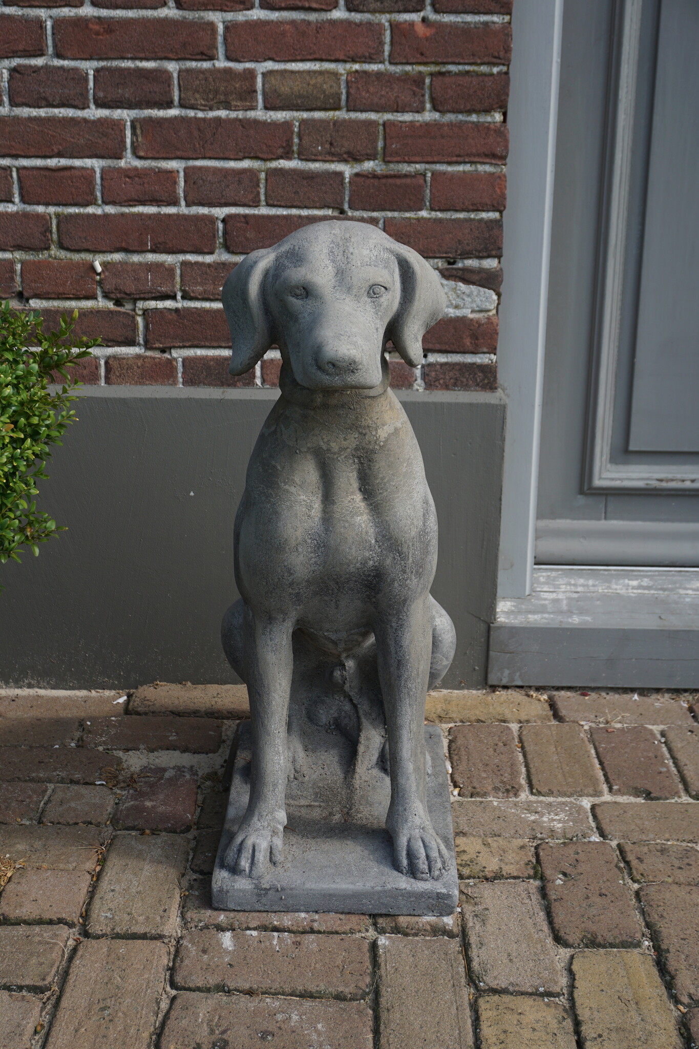 Il Cupido Betonnen Hond Beeld Op Voet H75 Cm