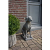 Betonnen Hond Beeld Op Voet H75 Cm