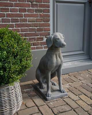 Il Cupido Betonnen Hond Beeld Op Voet H75 Cm