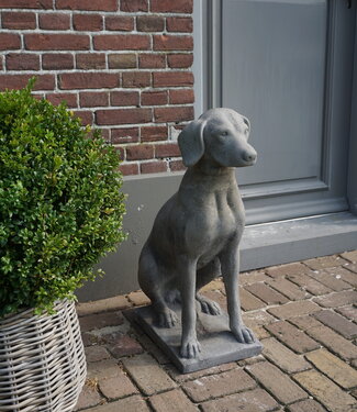 Il Cupido Betonnen Hond Beeld Op Voet H75 Cm