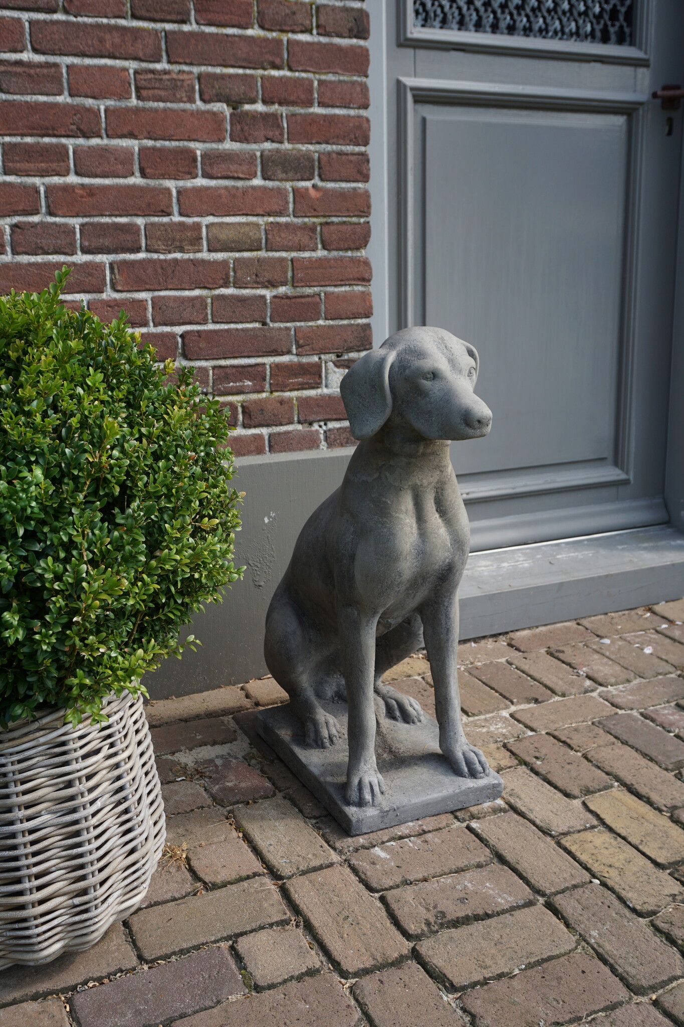 Il Cupido Betonnen Hond Beeld Op Voet H75 Cm