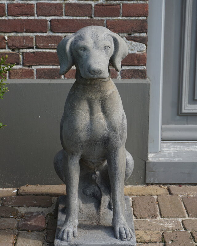 Il Cupido Betonnen Hond Beeld Op Voet H75 Cm
