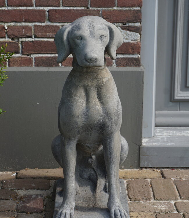 Il Cupido Betonnen Hond Beeld Op Voet H75 Cm