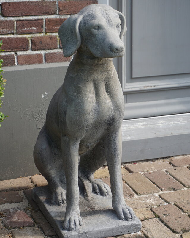 Il Cupido Betonnen Hond Beeld Op Voet H75 Cm