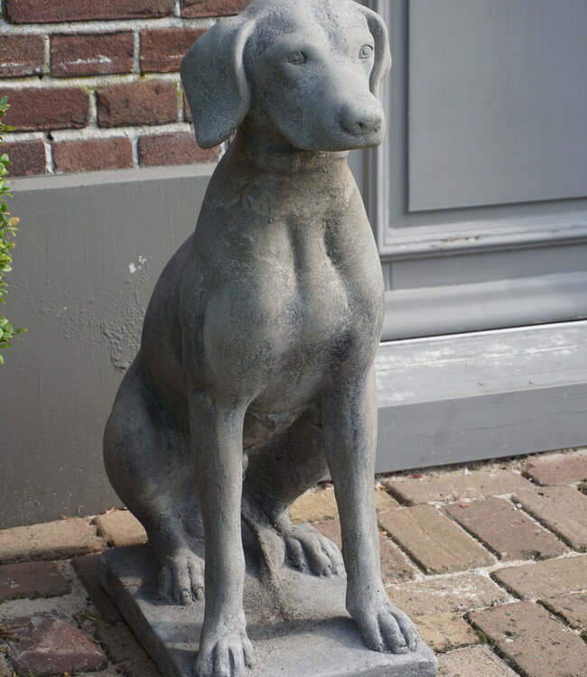 Il Cupido Betonnen Hond Beeld Op Voet H75 Cm