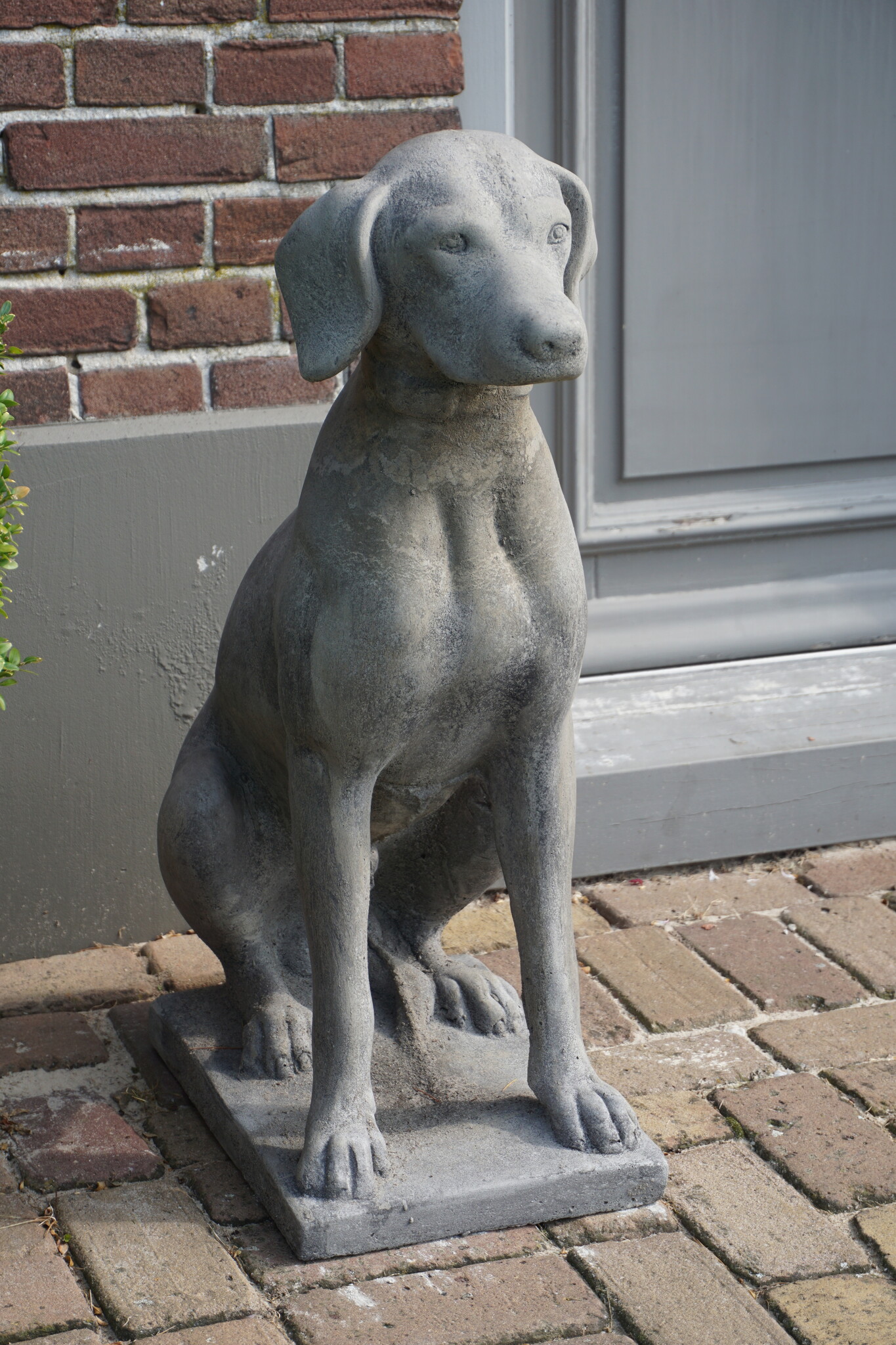 Il Cupido Betonnen Hond Beeld Op Voet H75 Cm