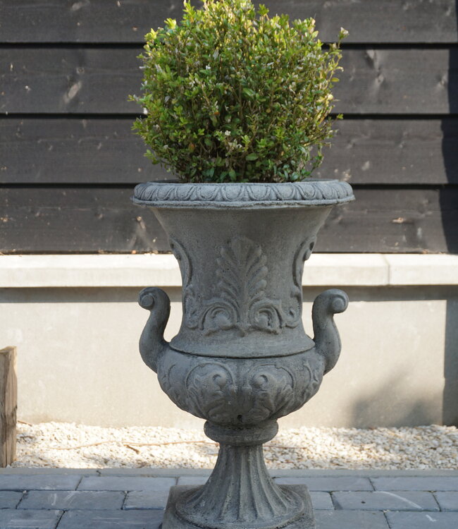 Il Cupido Bloembak Beton Grieks Met Oren H63 x B38 Cm