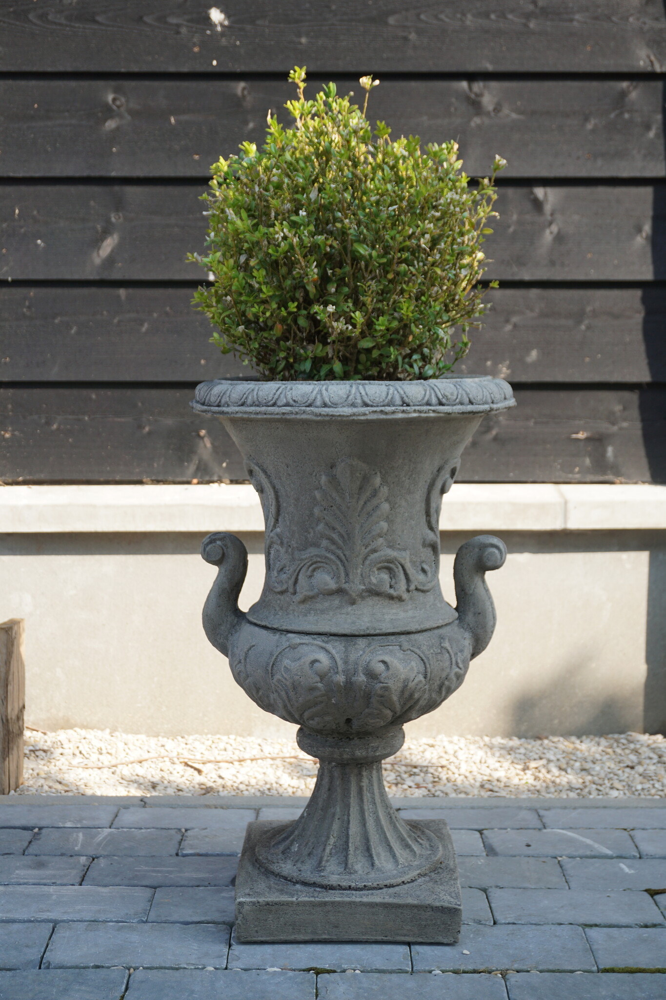 Il Cupido Bloembak Beton Grieks Met Oren H63 x B38 Cm