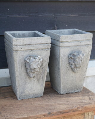 Il Cupido Pot Bloembak Beton Ramskop H30 x B17 Cm