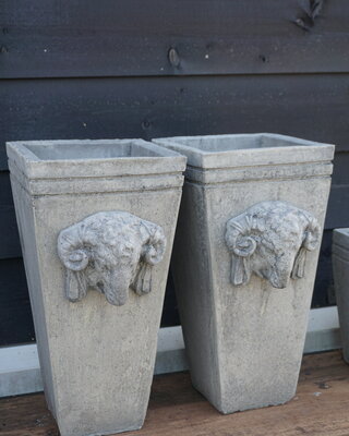 Il Cupido Pot Bloembak Beton Ramskop H50 x B24 Cm