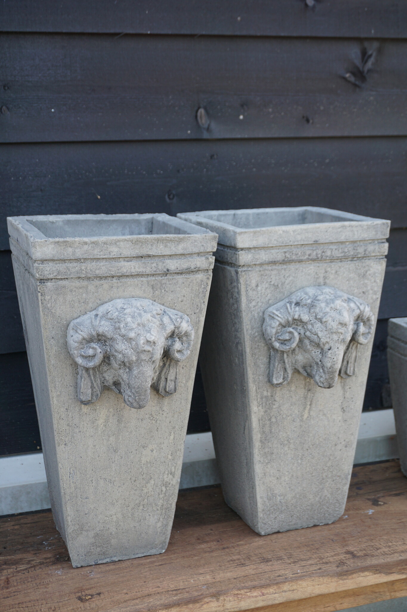 Il Cupido Pot Bloembak Beton Ramskop H50 x B24 Cm
