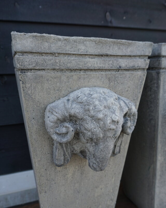 Il Cupido Pot Bloembak Beton Ramskop H50 x B24 Cm