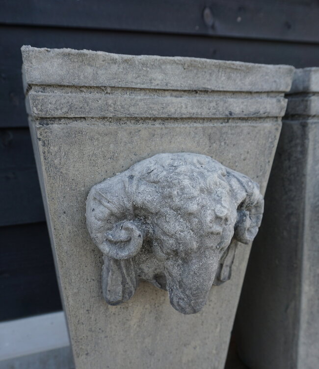 Il Cupido Pot Bloembak Beton Ramskop H50 x B24 Cm