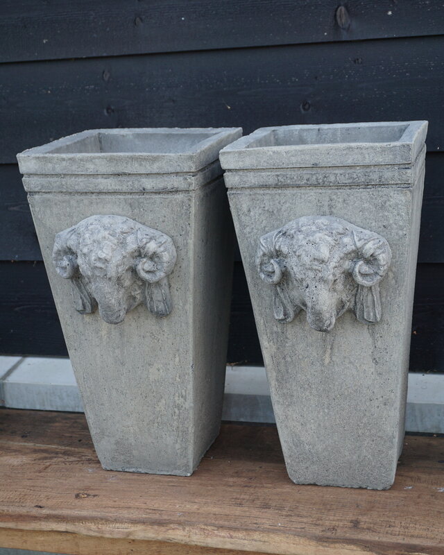 Il Cupido Pot Bloembak Beton Ramskop H50 x B24 Cm