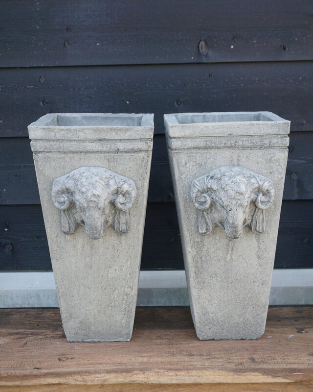 Il Cupido Pot Bloembak Beton Ramskop H50 x B24 Cm