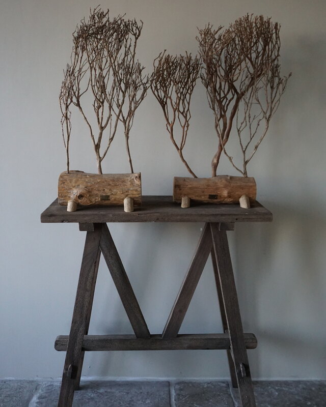 Rene Houtman Theeboompje Indonesie Op Standaard H68 x B31 Cm