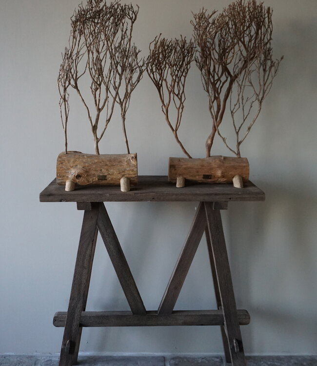 Rene Houtman Theeboompje Indonesie Op Standaard H68 x B31 Cm