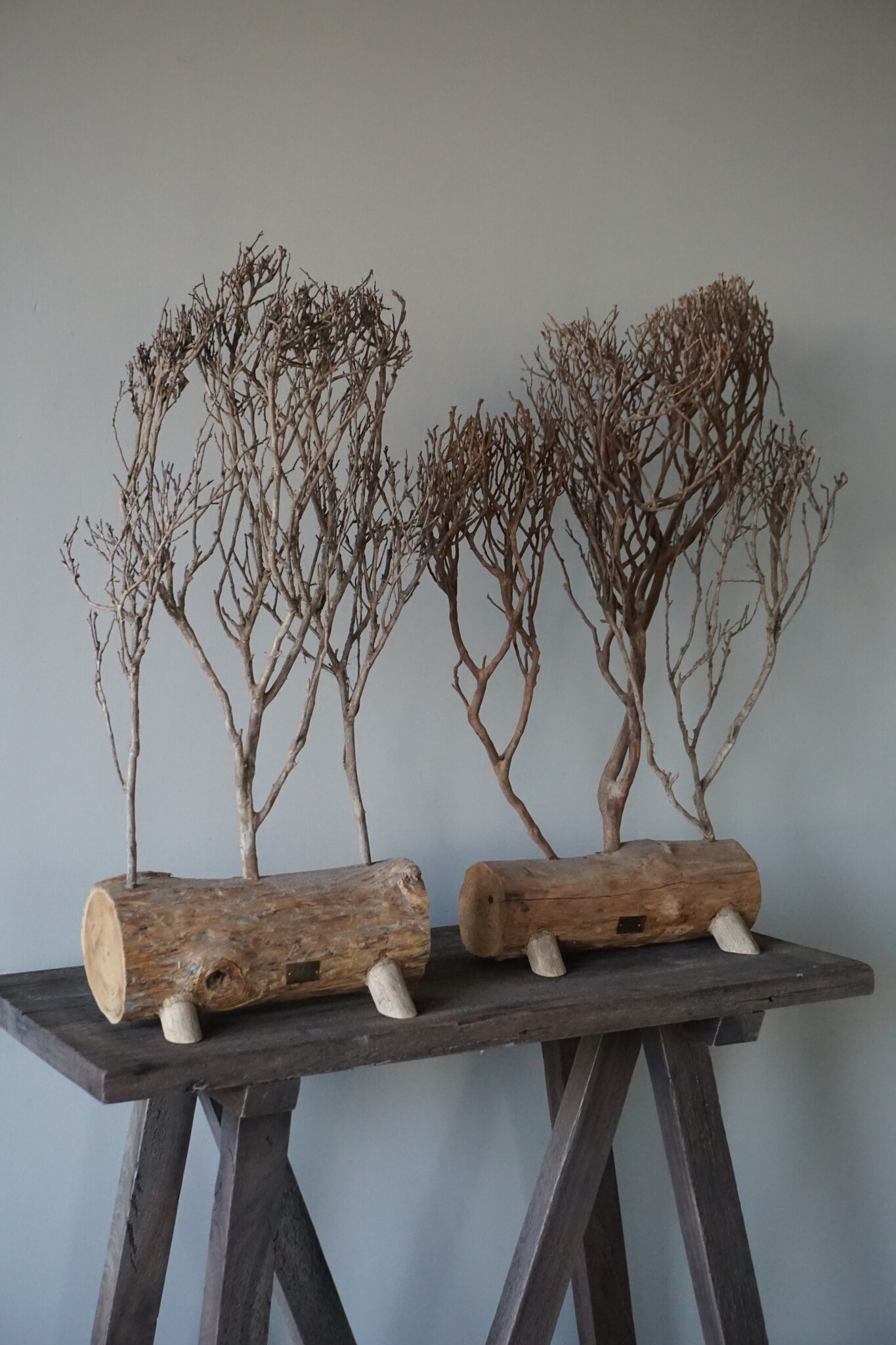 Rene Houtman Theeboompje Indonesie Op Standaard H68 x B31 Cm