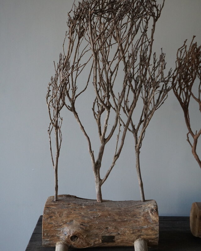 Rene Houtman Theeboompje Indonesie Op Standaard H68 x B31 Cm