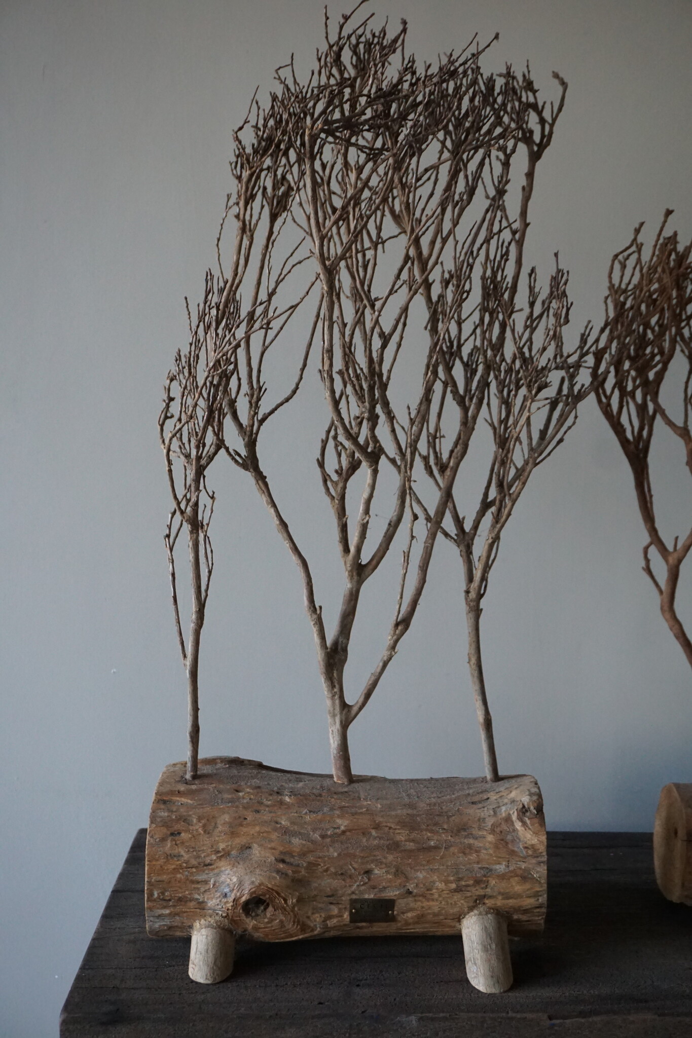 Rene Houtman Theeboompje Indonesie Op Standaard H68 x B31 Cm