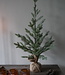 Rene Houtman Kunst Kerstboom | Small | Groen | H90 cm