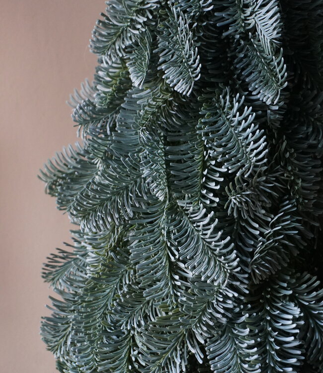 Rene Houtman Nobilis Kunst Kerstboom | H75 cm