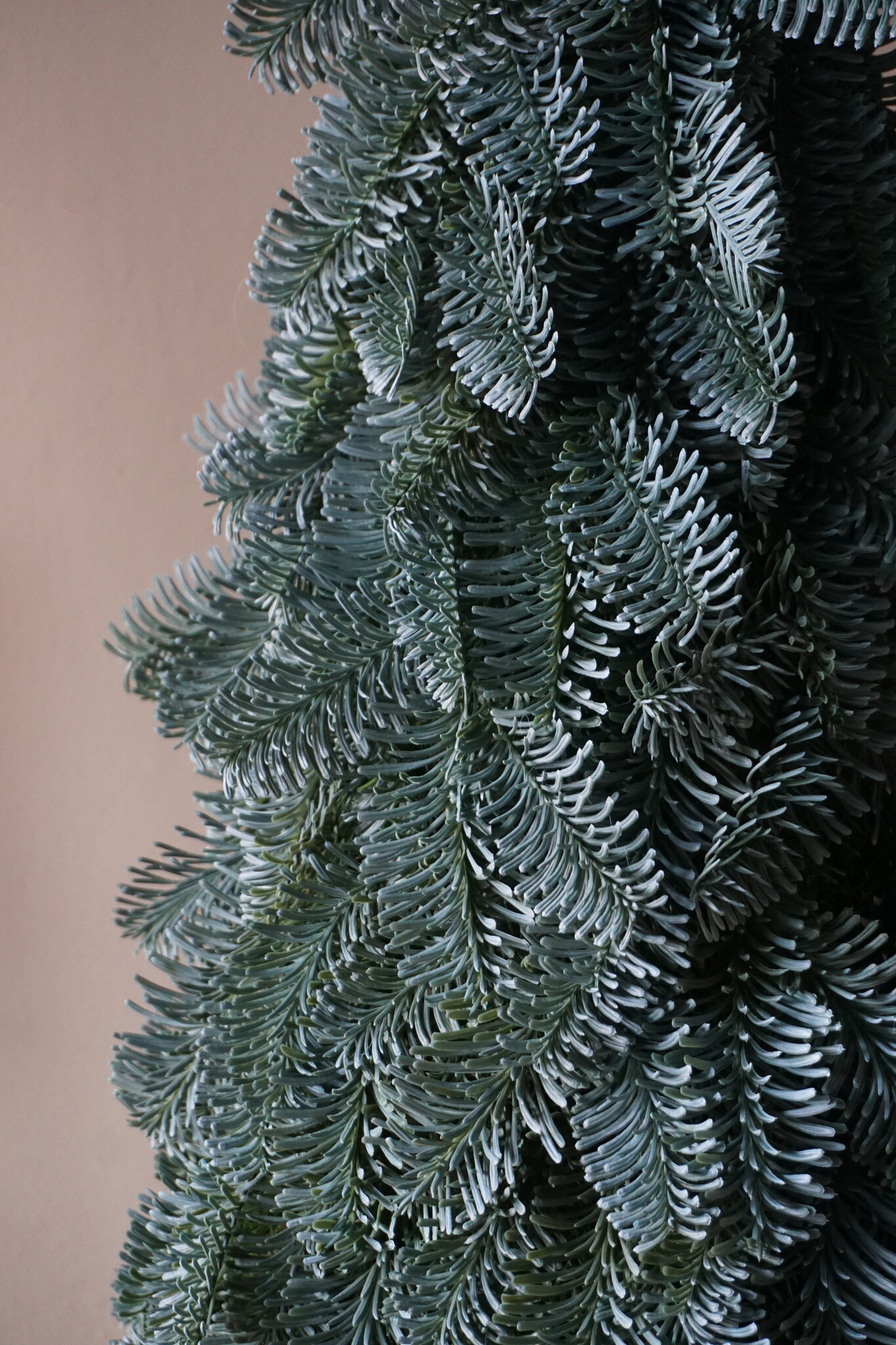 Rene Houtman Nobilis Kunst Kerstboom | H75 cm