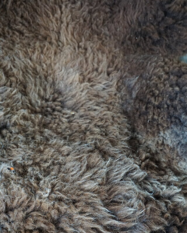 Rene Houtman Schapenvacht | Bruin | H90 x B75 cm