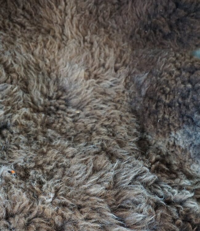 Rene Houtman Schapenvacht | Bruin | H90 x B75 cm