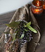 Rene Houtman Kunst Toef Met Shabby Doek | H35 x B16 cm