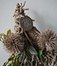 Rene Houtman Kunst Toef Met Distel En Shabby Doek | H36 x B20 cm