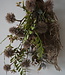 Rene Houtman Kunst Toef Met Distel En Shabby Doek | H36 x B20 cm