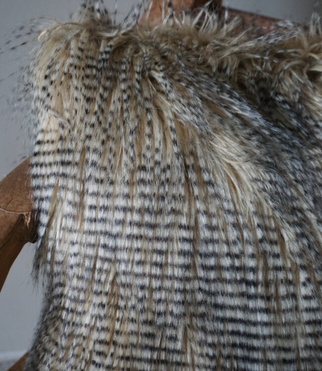 Rene Houtman Struisvogel Sierkussen | 45 x 45 cm