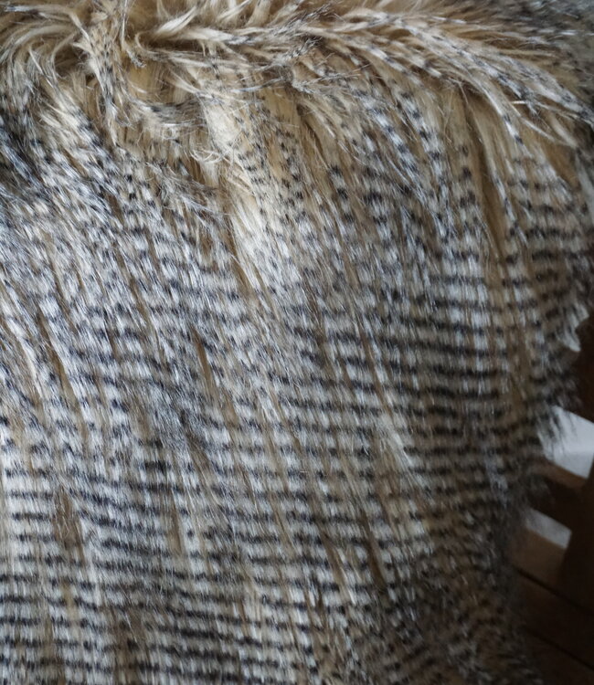 Rene Houtman Struisvogel Sierkussen | 45 x 45 cm