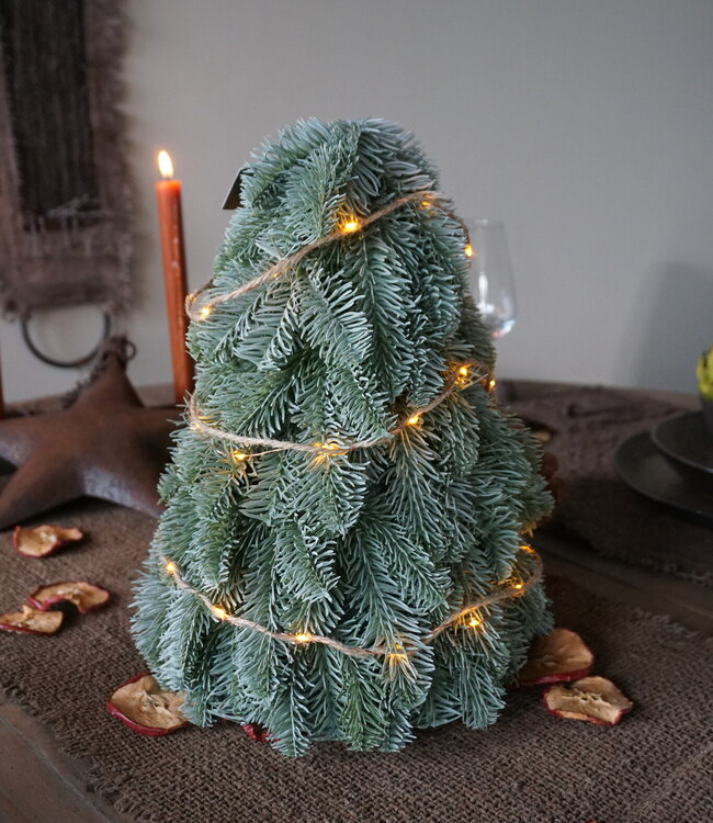 Brynxz Nobilis Boompje | 42 cm