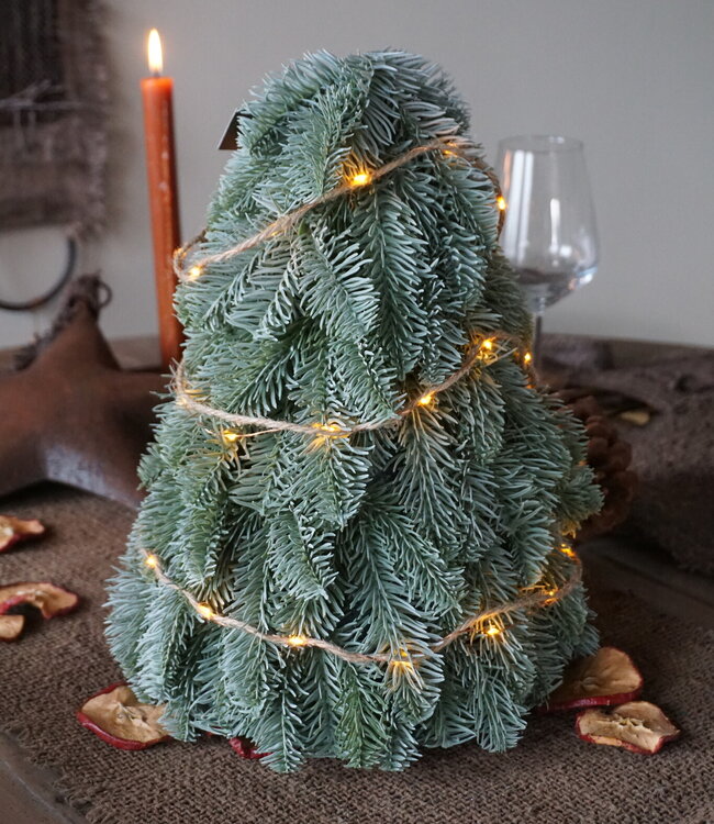 Brynxz Nobilis Boompje | 42 cm