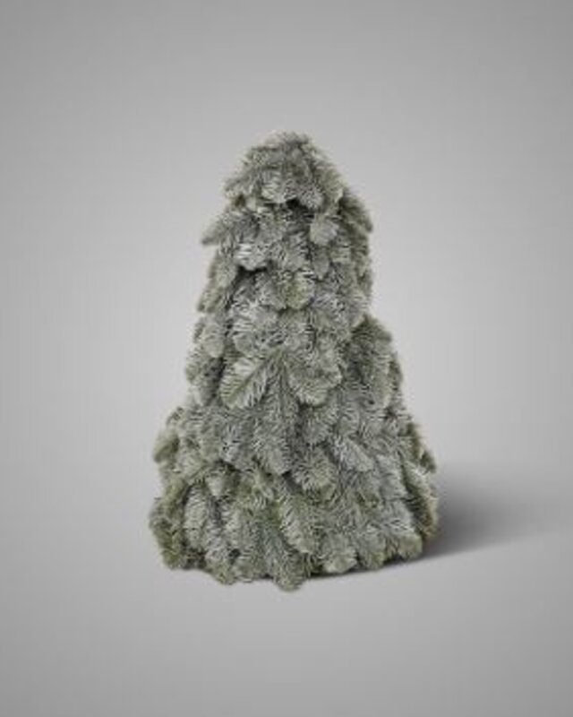 Brynxz Nobilis Boompje | 42 cm