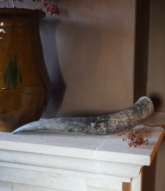 Rene Houtman Unieke Koehoorn | 56 cm