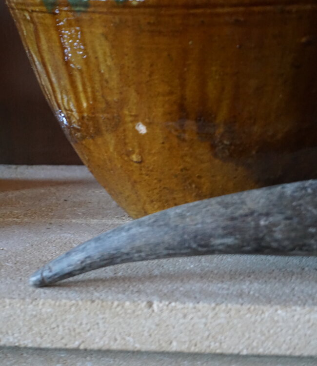 Rene Houtman Unieke Koehoorn | 56 cm