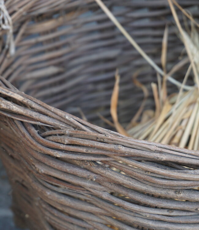 Rene Houtman Authentieke Plukmand Druiven