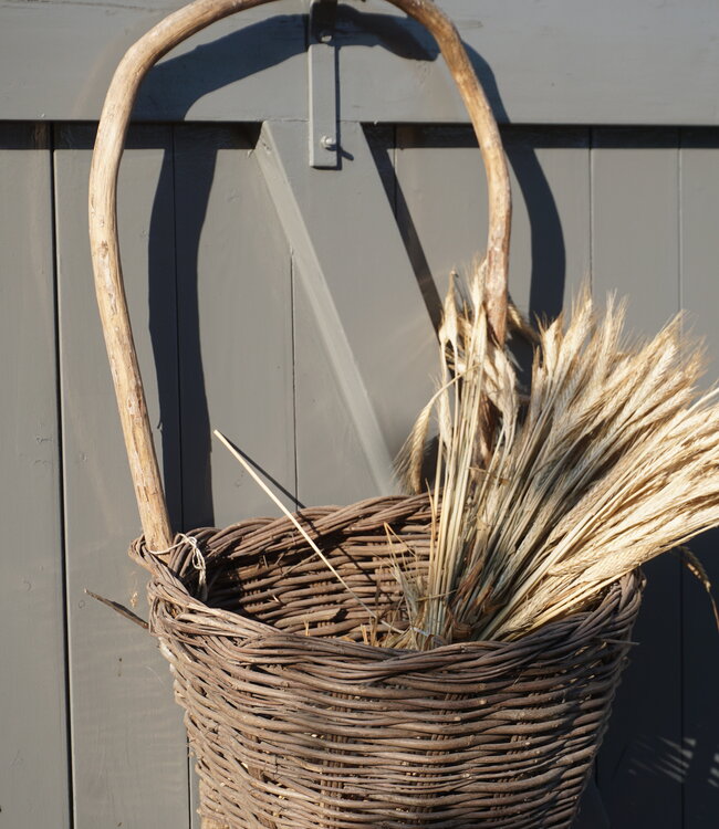 Rene Houtman Authentieke Plukmand Druiven