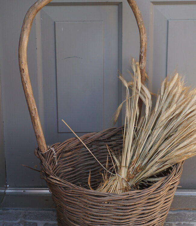 Rene Houtman Authentieke Plukmand Druiven